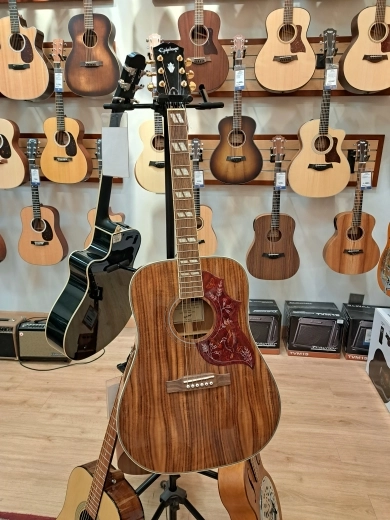 Epiphone Hummingbird Koa Top